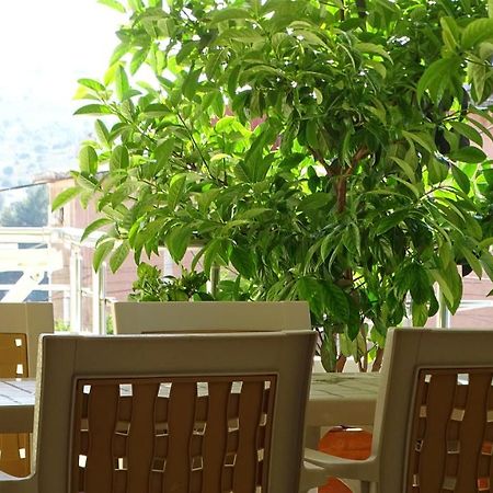 Cozy Central Apartment クサミル エクステリア 写真